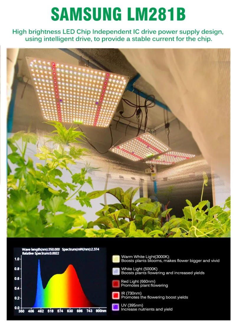 Description Picture 4 of itemFull Spectrum LED Grow Light 65W 120W Dimming High PPFD Sunlike Quantum Grow Lamp LM281B For Indoor Plant Flower Growth Lighting
