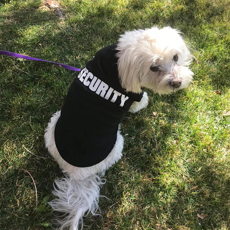 Description Picture 2 of itemSecurity Clothing for Dogs Summer Pet Clothes Vest for Small Dogs Chihuahua Yorkshire Puppy Cats Low Price Pets T-shirt Costume