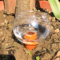 2pcs Plant Flower Watering Drip Devices Waterer Automatic Irrigation System Home Garden Vacation Travel Supplies Tool