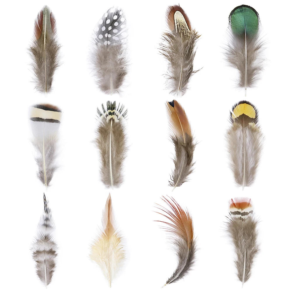 Description Picture 4 of item24/50 Pieces 5-15CM Multi-Style Natural Peacock Pheasant Feather Crafts Jewelry Making Accessories Decorative Feather Wholesale