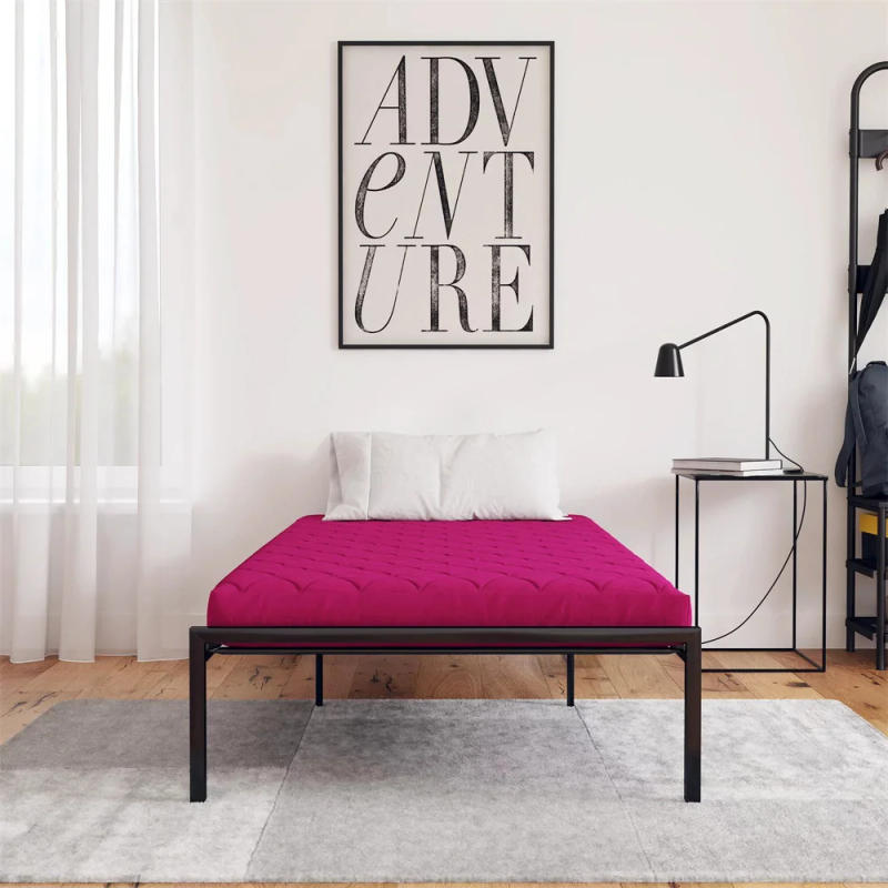 Description Picture 3 of itemDropshipping Customizable Size Mattress Soft Mattress Home Tatami Mat Was The Floor Mat Student ZHA03-66999