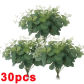 30PCS-Green(B)