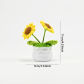 sunflower-2