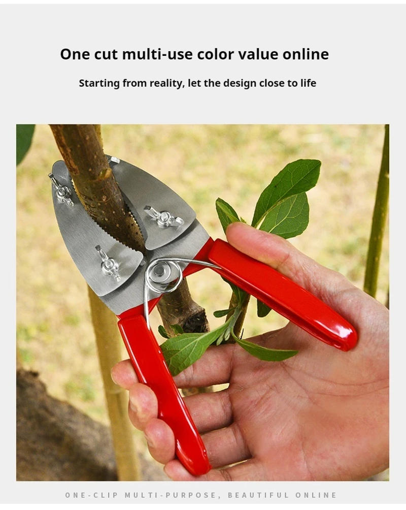 Description Picture 5 of itemGirdling Scissors & Pruning Shears for Bark Removal, Fruit Tree Care, and Potted Plant Maintenance – Essential Garden Tools