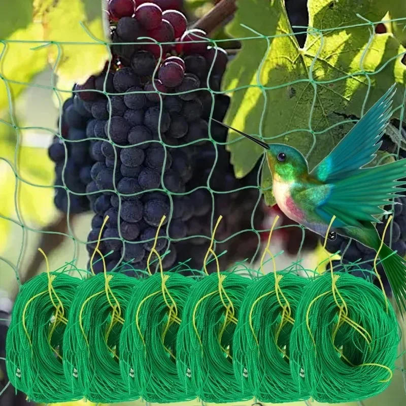 Description Picture 4 of itemPlant Climbing Netting High-quality Nylon Plant Trellis for Garden Vine Climbing Vegetable Loofah Morning Glory Flowers Growing