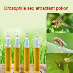 10pc Fruit Fly Attractant Trap Bait Beekeeping Beehive Tool Repellent Supplies