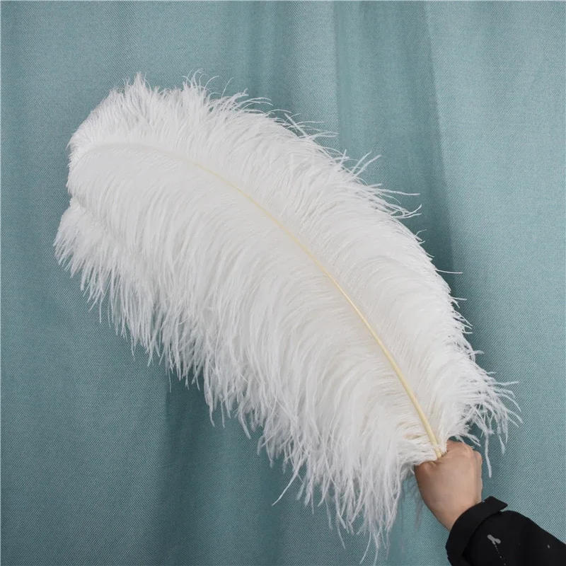 Description Picture 6 of itemWhite Ostrich Feather Decor Feathers for Crafts Large Centerpiece for Table Decoration Long Mariage Wedding Party Accessories