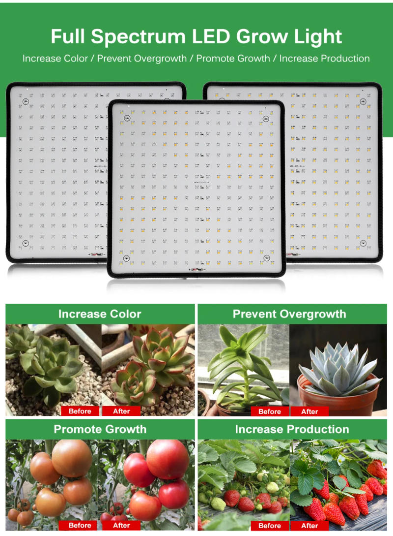 Description Picture 3 of itemLED Grow Light Full Spectrum 1000W 85-240V Phyto Lamp for Indoor Plants Growing Light Bulbs for Greenhouse Tent Flowers