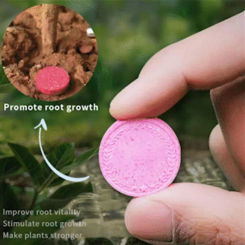 22pcs Gardening Universal Slow-Release Tablet Organic Fertilizer Plant Flowers Nitrogen Phosphorus Potassium Slow Release Agent