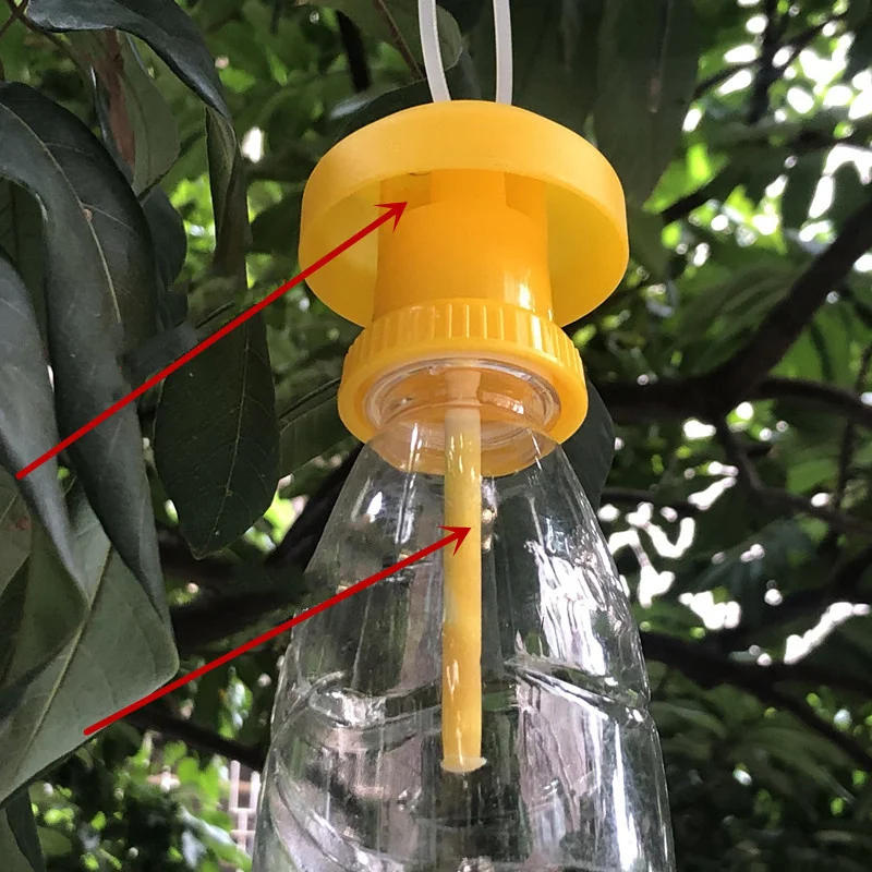 Description Picture 4 of itemFruit Killer Plastic Yellow Drosophila Trap Fly Catcher Pest Insect Control For Home Farm Orchard 2024 New 1Pcs