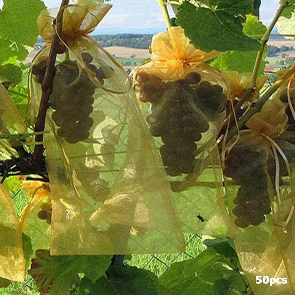 Description Picture 5 of itemStrawberry Grape Protection Sac Pest Control Anti-Bird Garden Netting Bags Fruit Protection Bags for Plantas Vegetable Grow Bags