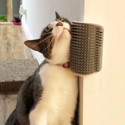 Multi-Function Cat Scratching&Grooming Brush-Wall/Table Mountable Self-Clean Bristle for Hair Removal&Massage,Pet Care Essential