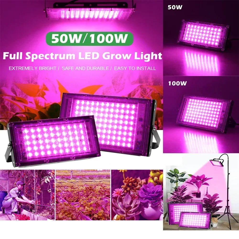 Description Picture 2 of itemLED Grow Light Full Spectrum Phyto Lamp AC 220V 50W 100W 200W 300W For Greenhouse Hydroponic Plant Growth Lighting With EU Plug