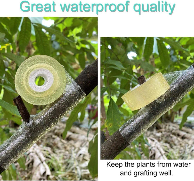 Description Picture 6 of item200M PE Grafting Tape Parafilm Garden Tree Plants Seedlings Vine Tomato Grafting Accessories Stretchable Grafting Floristry Film