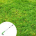 Slide image 2bb0e204c605480187e6ce9e7195fb8f