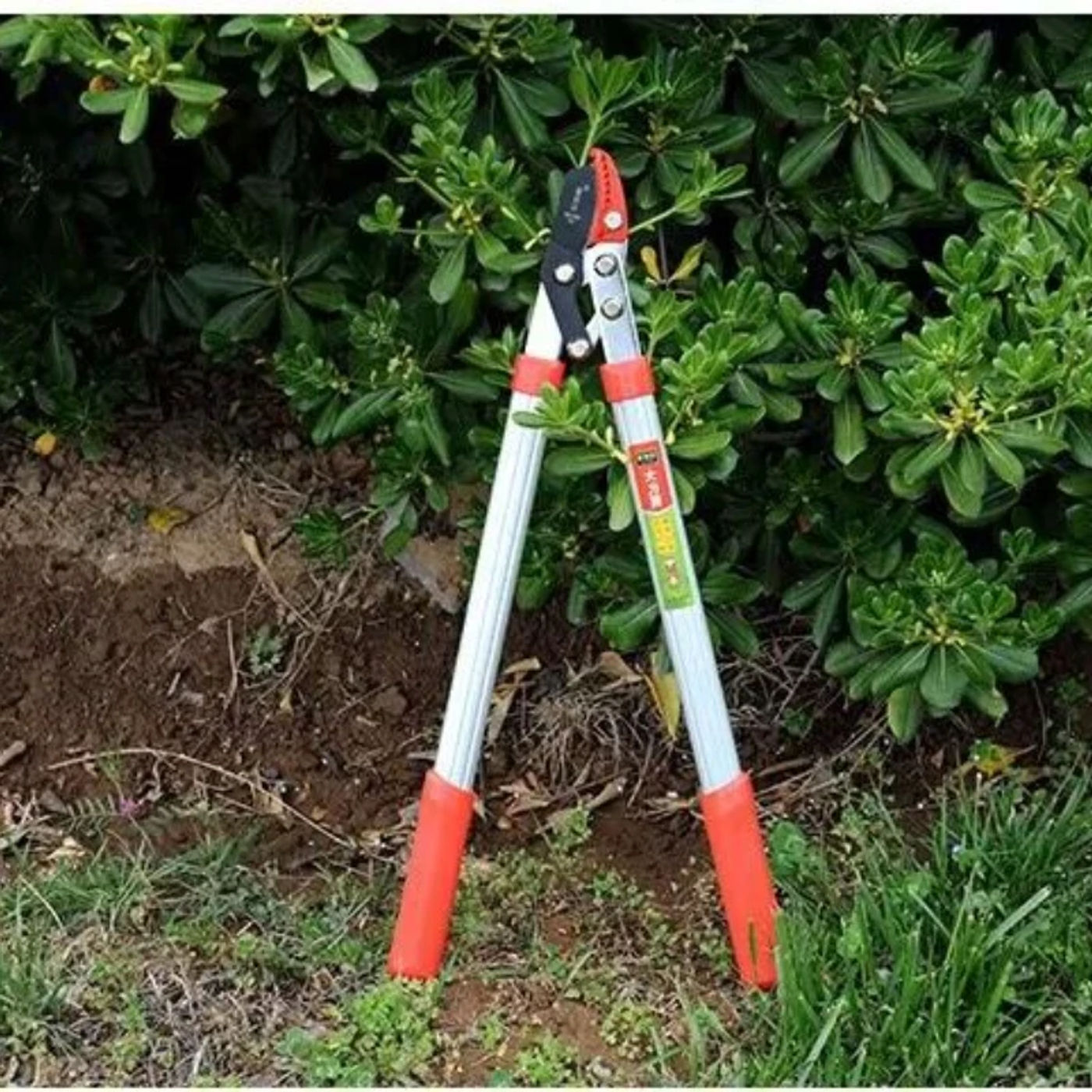 Slide 1e0581a219644ebeb98504e8c4f59f47