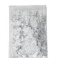 silver-1g