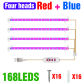 4-Pack-Red-Blue