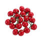 red-20pcs