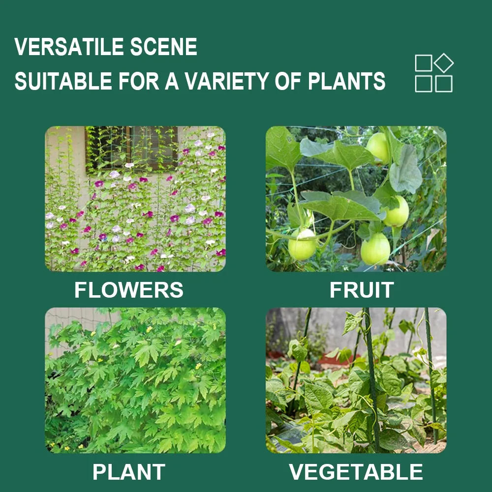 Description Picture 5 of item2022 Hi-quality Nylon Garden Netting Loofah Morning Glory Flowers Vine Plants Climbing Net Cucumber Vine Grow Holder Brackets