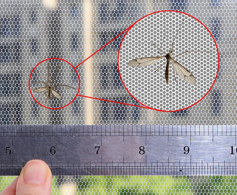 Description Picture 2 of itemFly Mosquito Window Net Insect DIY Simple Mesh Window Screen Net Indoor Mesh Bug Mosquito Net Easy To Fit With Tape Home Textile