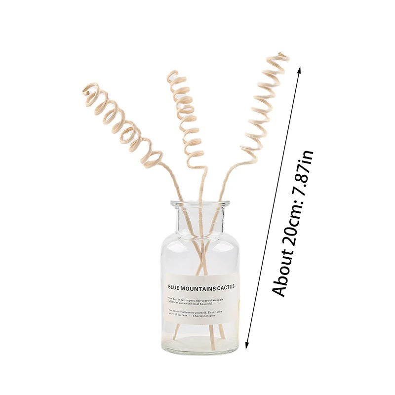 Description Picture 2 of item5pcs Vine Aroma Volatile Stick Natural Reed Fragrance Aroma Oil Diffuser Rattan Sticks Perfume Volatiles For Home Refill Sticks