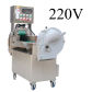220V