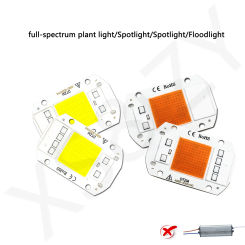 220V LED Chip10W 20W 30W 50W No Need Driver LED Lamp Beads For Flood Light Spotlight DIY  Lighting Plant Growth Light Cold White