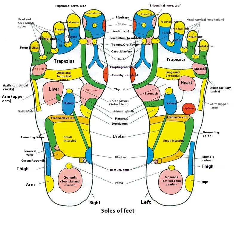 Description Picture 6 of itemFitness Acupressure Board Muscle Relaxation Foot Massage Mat Home Fitness Equipment Yoga Pilates Accessories Bodybuilding Gym