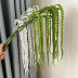 Slide image cb62505e654a46fc806ab9e4e24a98d7