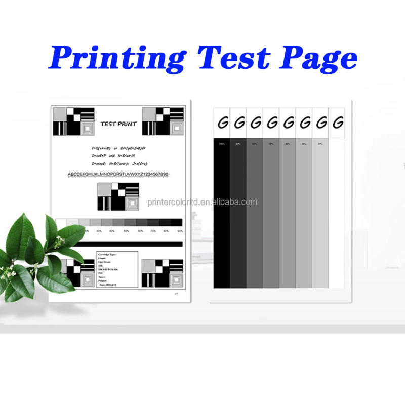 Description Picture 6 of item80g PE-216 PC-216 Printer Toner Powder Refilled Kits Dust Reset For Pantum M6506 P2506w M6506w M6506nw M6556n M6556nw M6606n PE