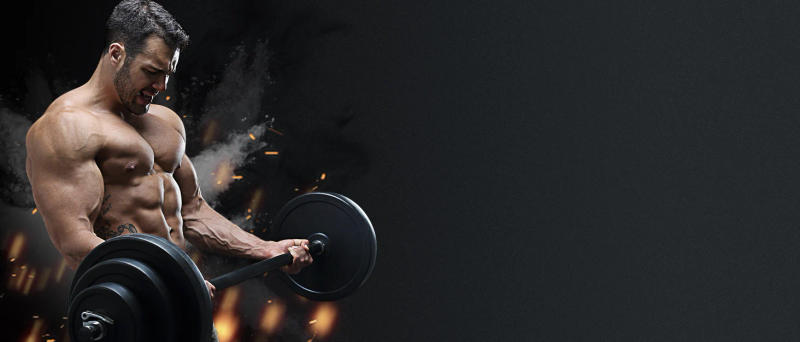 Description Picture 2 of itemWeight Bench for Home Gym, Adjustable and Foldable Weight Bench, Multi-Purpose Workout Bench for Bench Press Sit up Incli