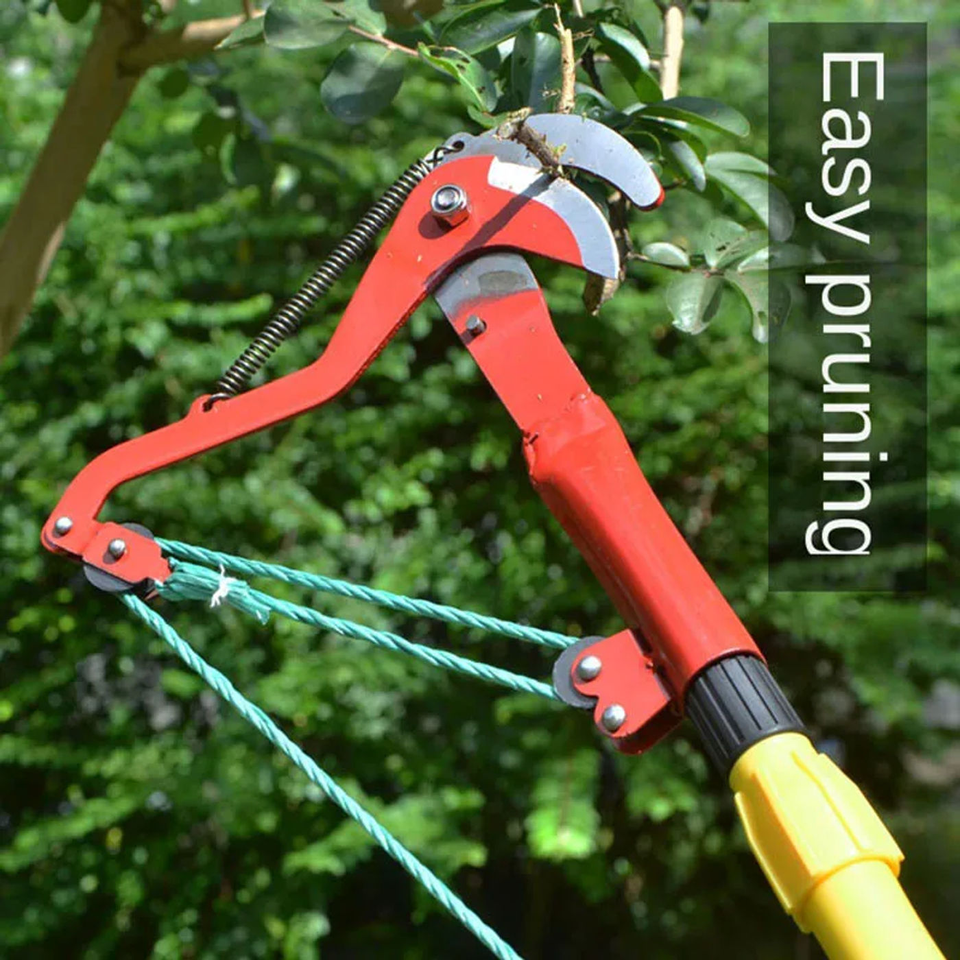 Description Picture 5 of item1Pcs Telescopic High-altitude Scissors Fruit Picker High-altitude Cutting Branches High-altitude Pruning Branches Garden Tools