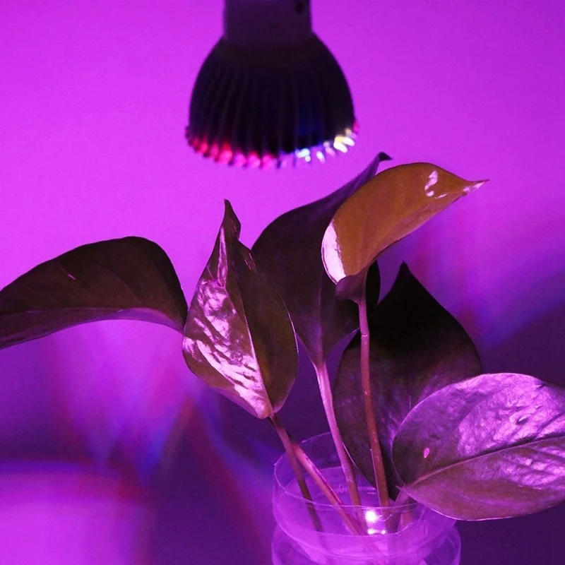 Description Picture 4 of item18W LED Plant Lights Grow Light Bulb Full Spectrum Grow Light For Indoor Plants Greenhouse Succulent Hydroponics,E14