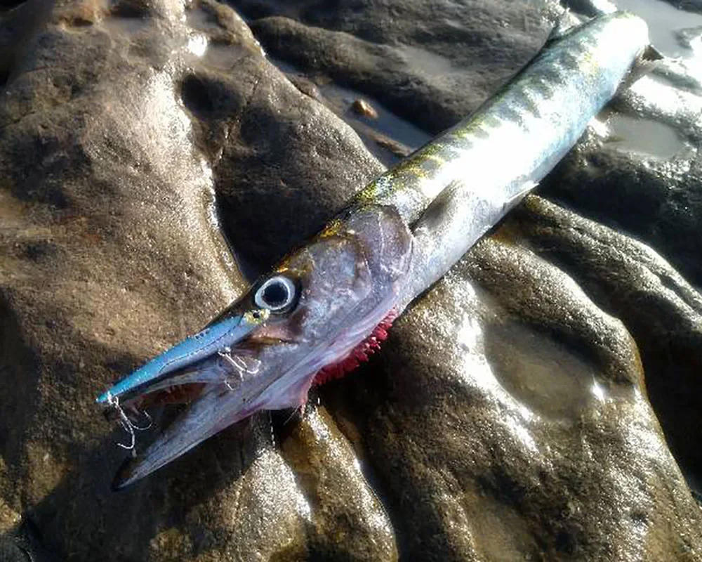 Description Picture 6 of itemVIB Fishing Lure 20g 25g 30g Metal Jig Sinking Spinning Blade Cast Pesca Treble Hooks VIBRATION Tackle Vibetion Artificial Bait