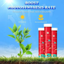 22 tablets/bottle Gardening Universal Slow-Release Tablet Organic Fertilizer Plant FlowersNPK Slow Release Agent
