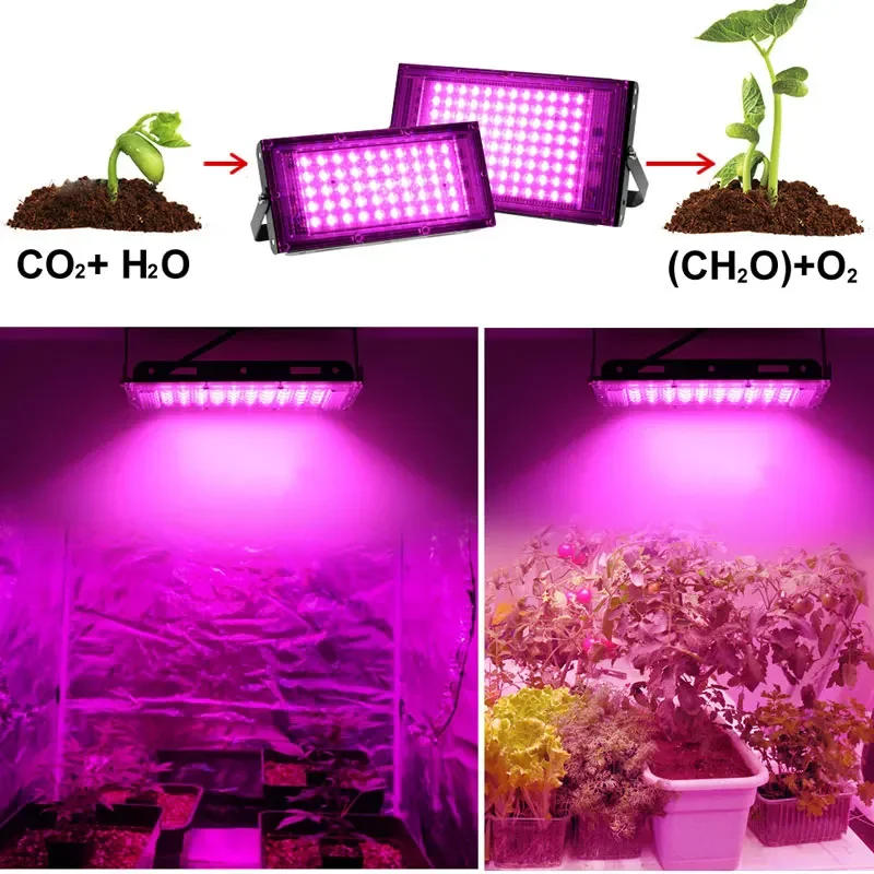 Description Picture 4 of itemPhytolamp For Plants Lamp Full Spectrum Led Grow Light 50W 100W 200W 300W Cultivation Spotlights Grow Accessories Indoor Uv Lamp