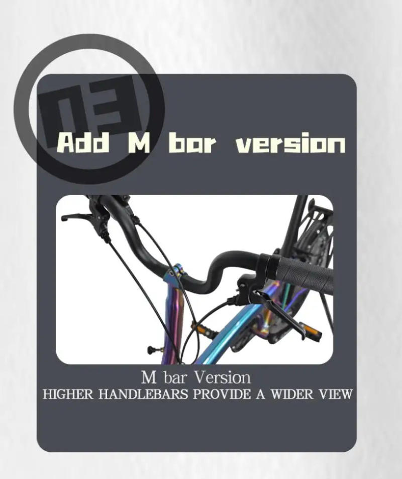 Description Picture 5 of itemLitepro 20Inch External 9 Speed Tri-fold Folding Bicycle Straight M Handlebar Steel Frame