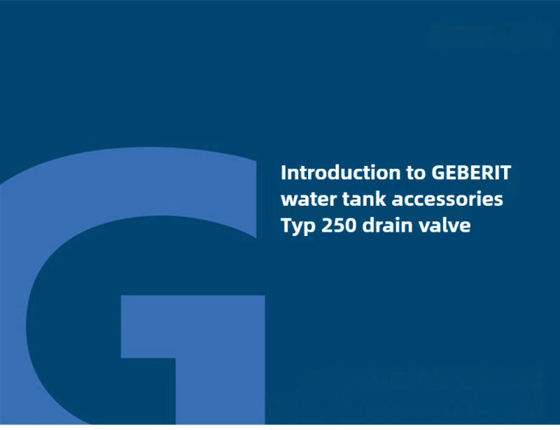 Description Picture 2 of itemSuitable For GEBERIT Split Toilet Water Tank Water-saving Double Flush Typ 250 Drainage Outlet Valve Bathroom Accessories