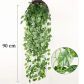 Pothos leaves