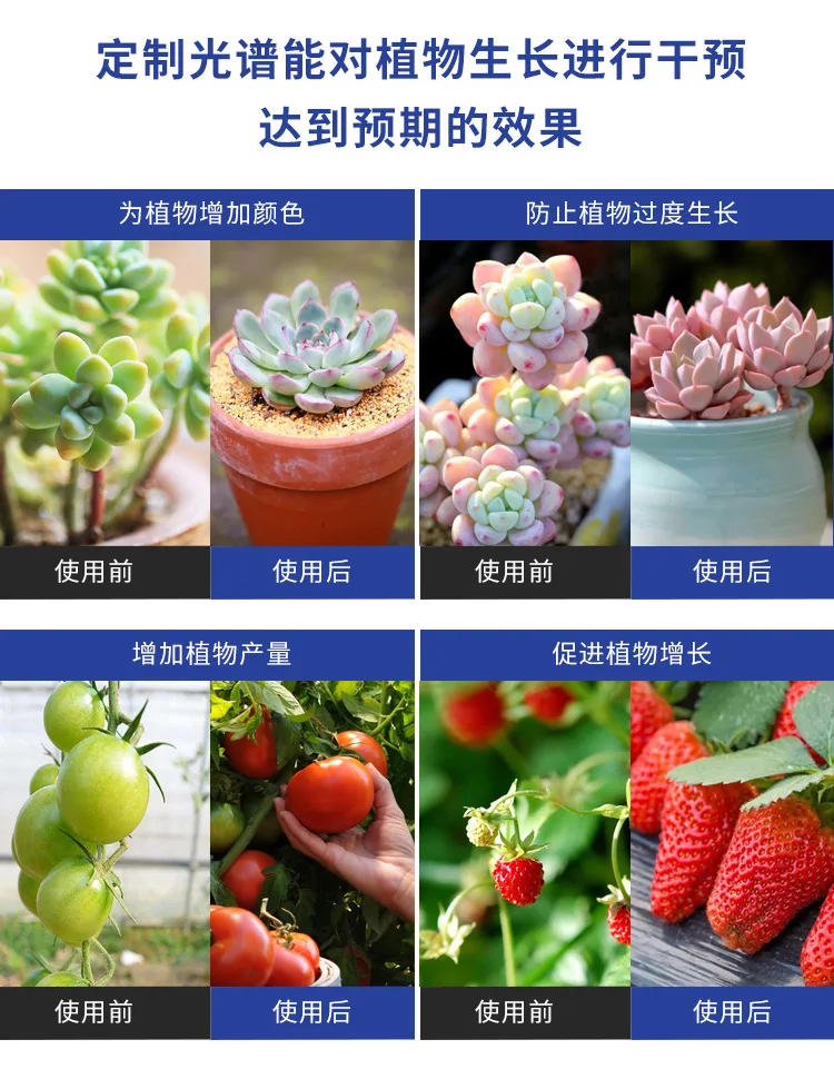 Description Picture 6 of itemFull Spectrum LED Grow Light LM281B Diode LED Sunlike Quantum Grow Lamp For Greenhouse Hydroponic Plant Growth Lighting