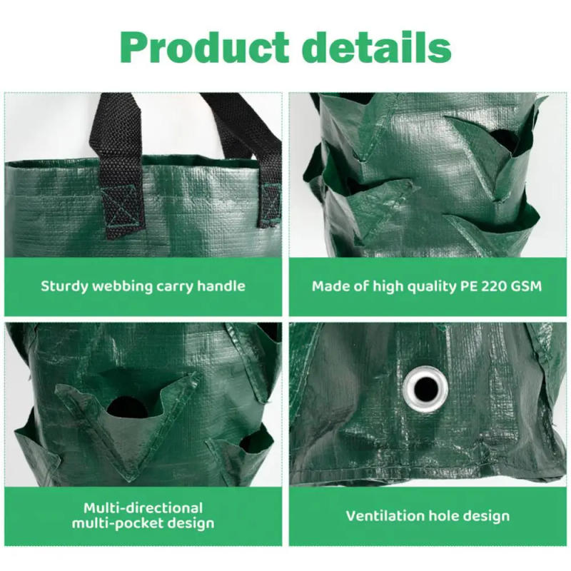 Description Picture 2 of itemGarden Planting Bag Strawberry Grow Bag 3L Multi-mouth Vertical Flower Tomato Planter Bag
