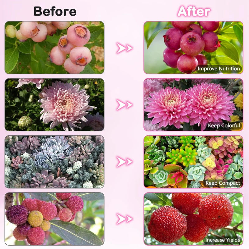 Description Picture 5 of itemDesktop USB Phyto Lamp Full Spectrum Hydroponics Bulb LED Grow Light Indoor Plants Lamp Greenhouse Veg Flower Phytolamp Grow Box