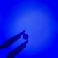 Blue 445NM