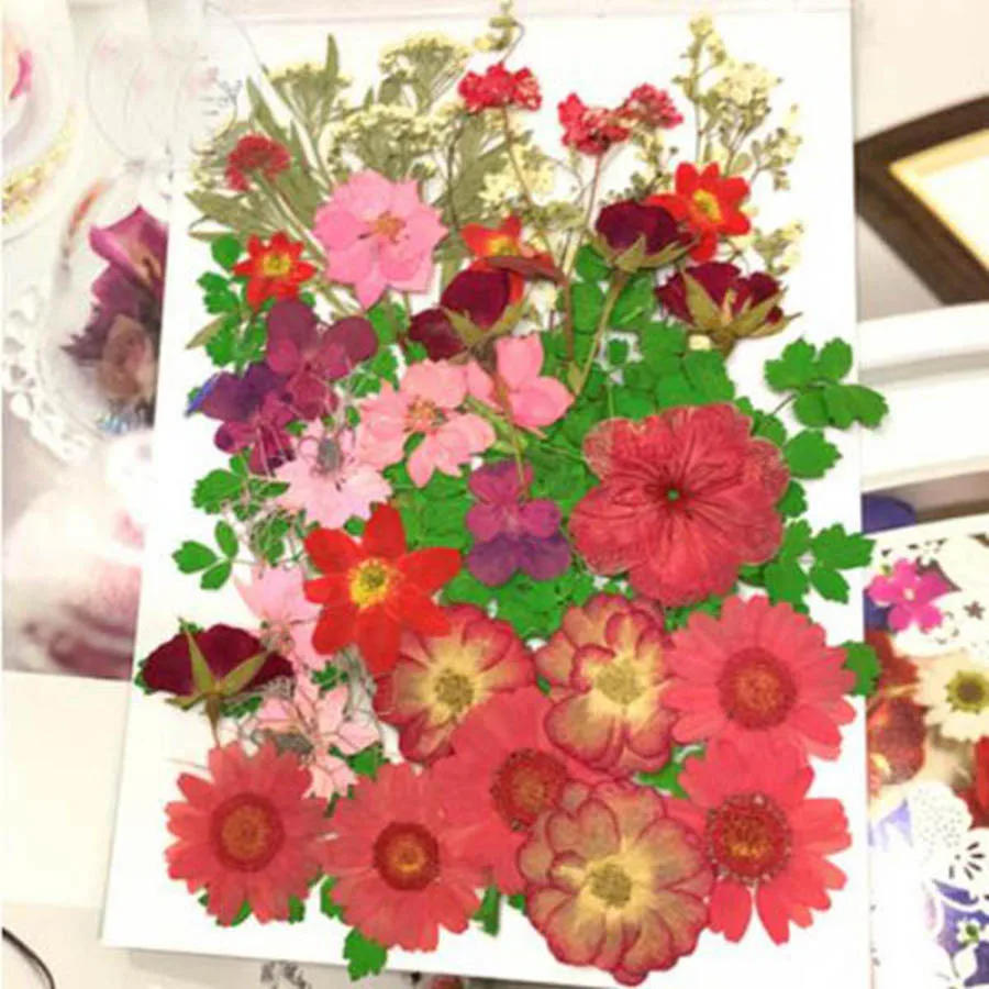 Description Picture 3 of item50pcs Mixed Dried Pressed Flowers Plant Herbarium For Jewelry Postcard Invitation Card Phone Case Art&Craft Making 7 Colors Pick