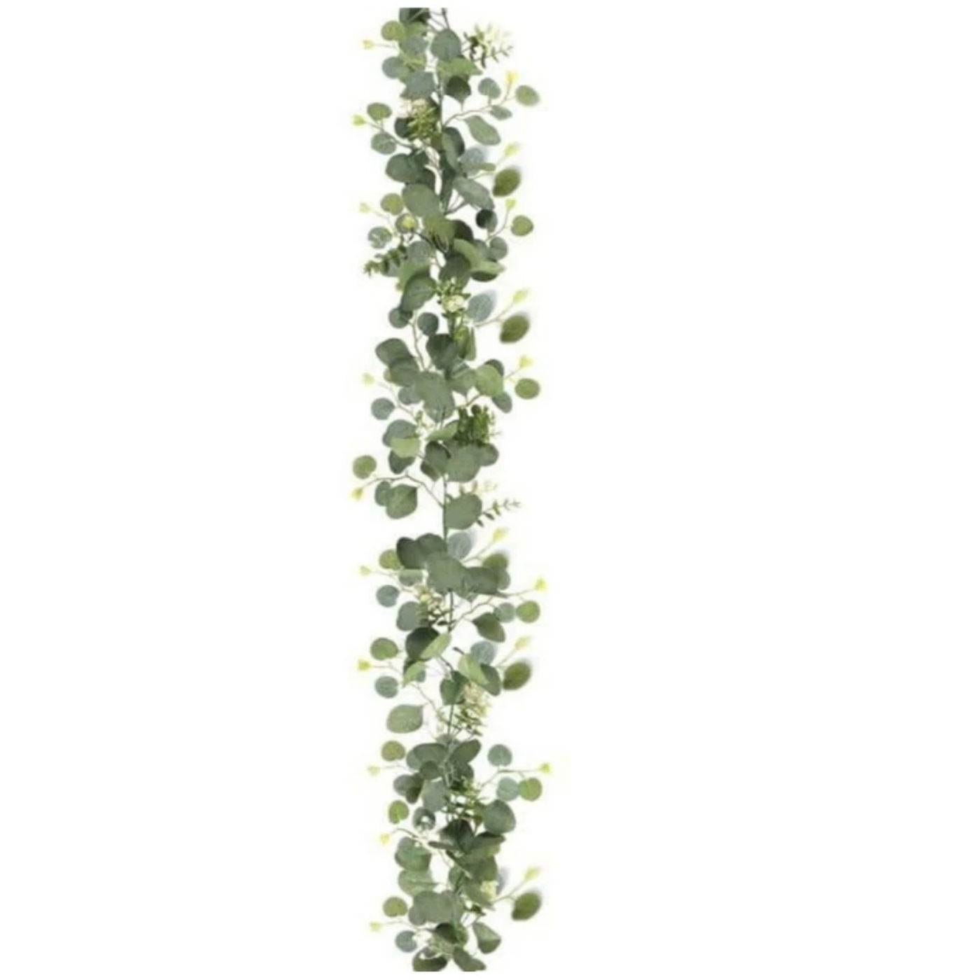 head_title lazy