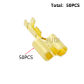 50Pcs  Female