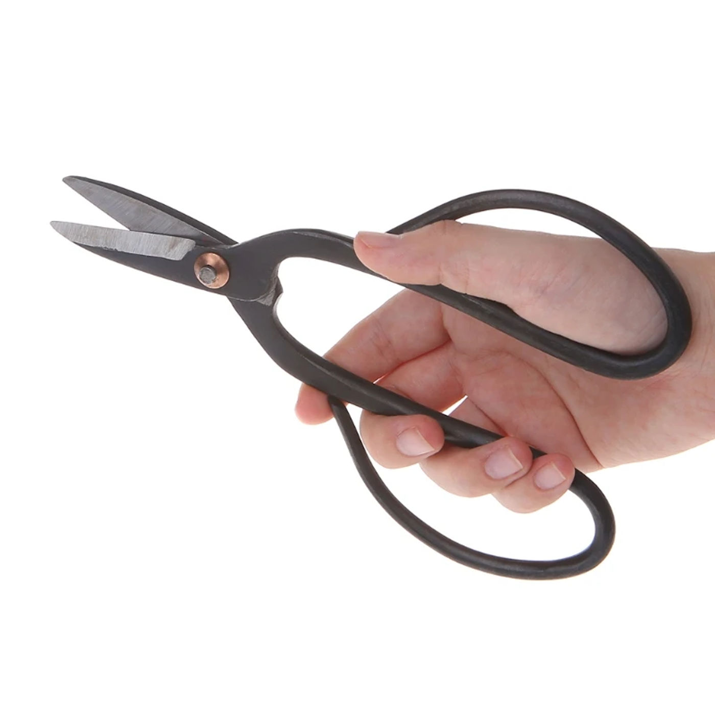 Description Picture 3 of itemBeginner Carbon Steel Household Bonsai Tools Scissors Gardening Branch Shears