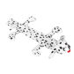 Spotted Dog Shape