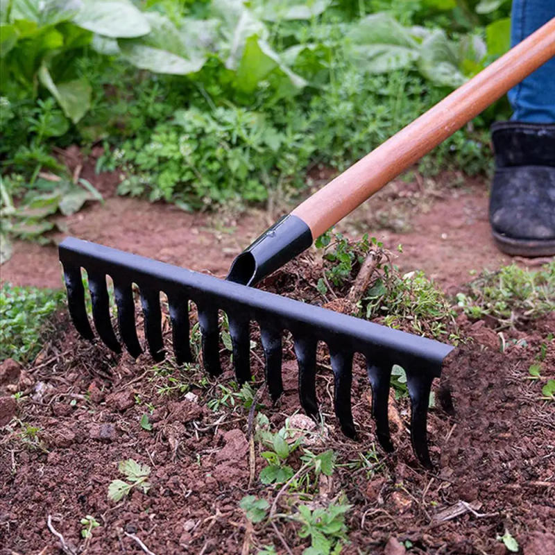 Description Picture 4 of itemLeaf Rakes for Lawns Heavy Duty Garden Rake Lawn Tools Thatch Rake Dethatcher Rake Metal Garden Hoe Gardening Rake for Loosening